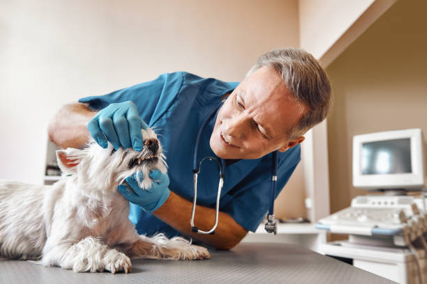Best Emergency Tooth Extraction in Inez, TX